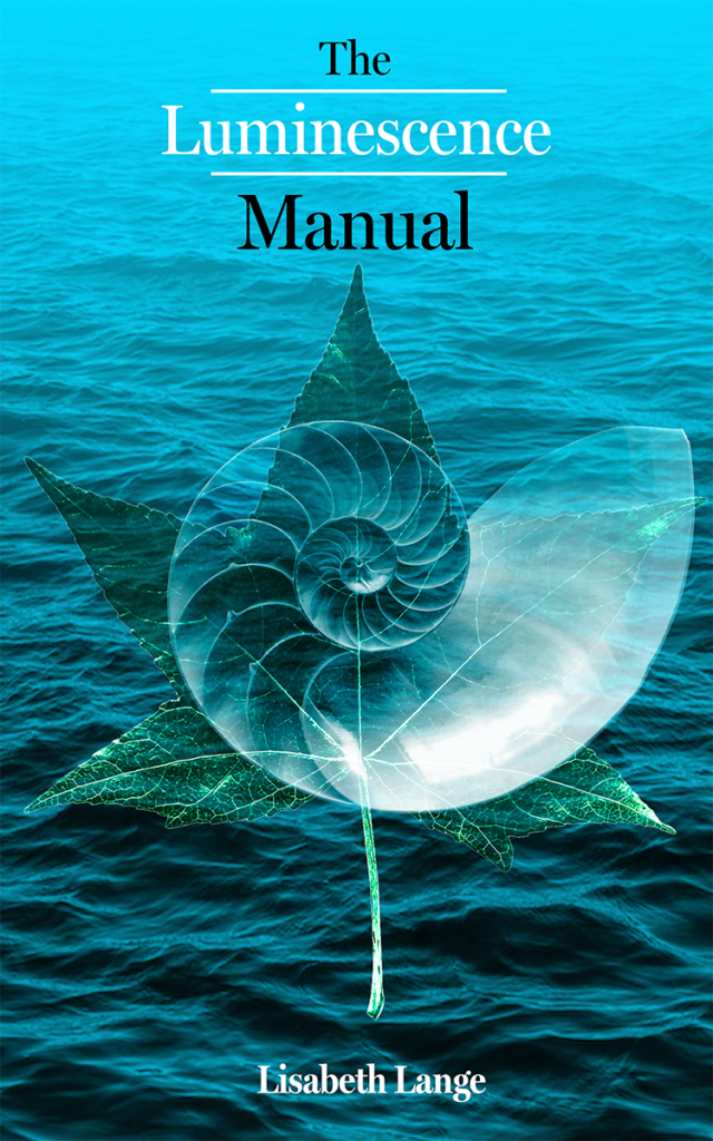 Cover of The Luminescence Manual
